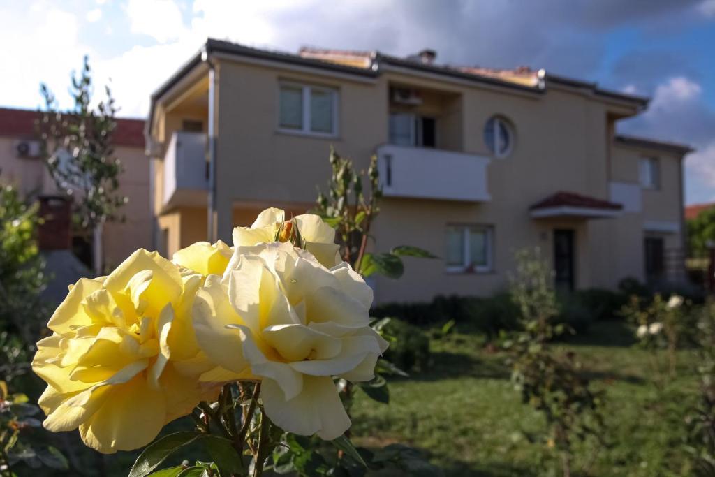 Apartments Emma Biograd Na Moru Eksteriør bilde